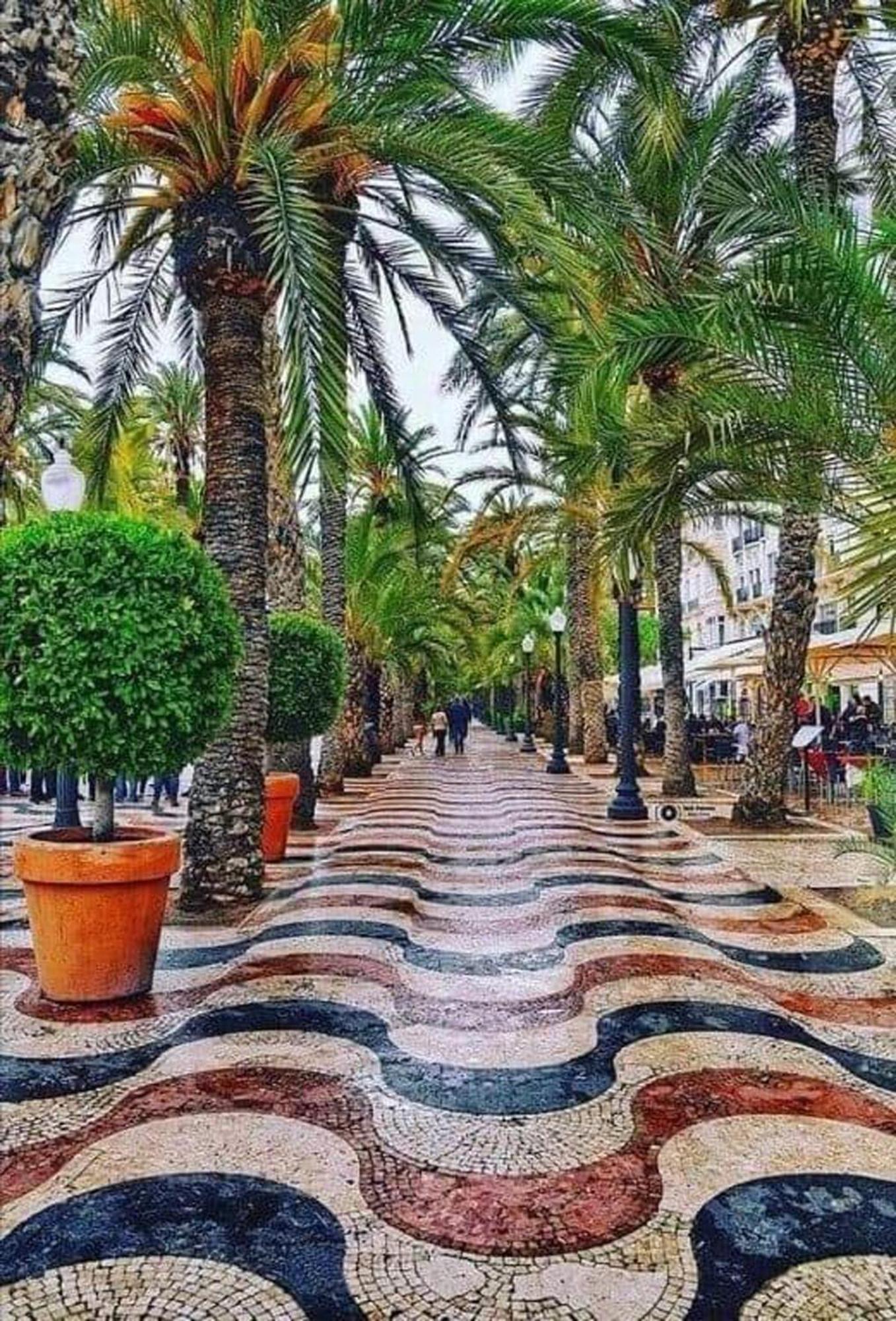 -Saint Thomas- Alicante Old Town Bagian luar foto